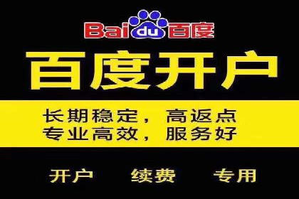 百度推广公司案例分享：如何通过百度推广实现持续增长